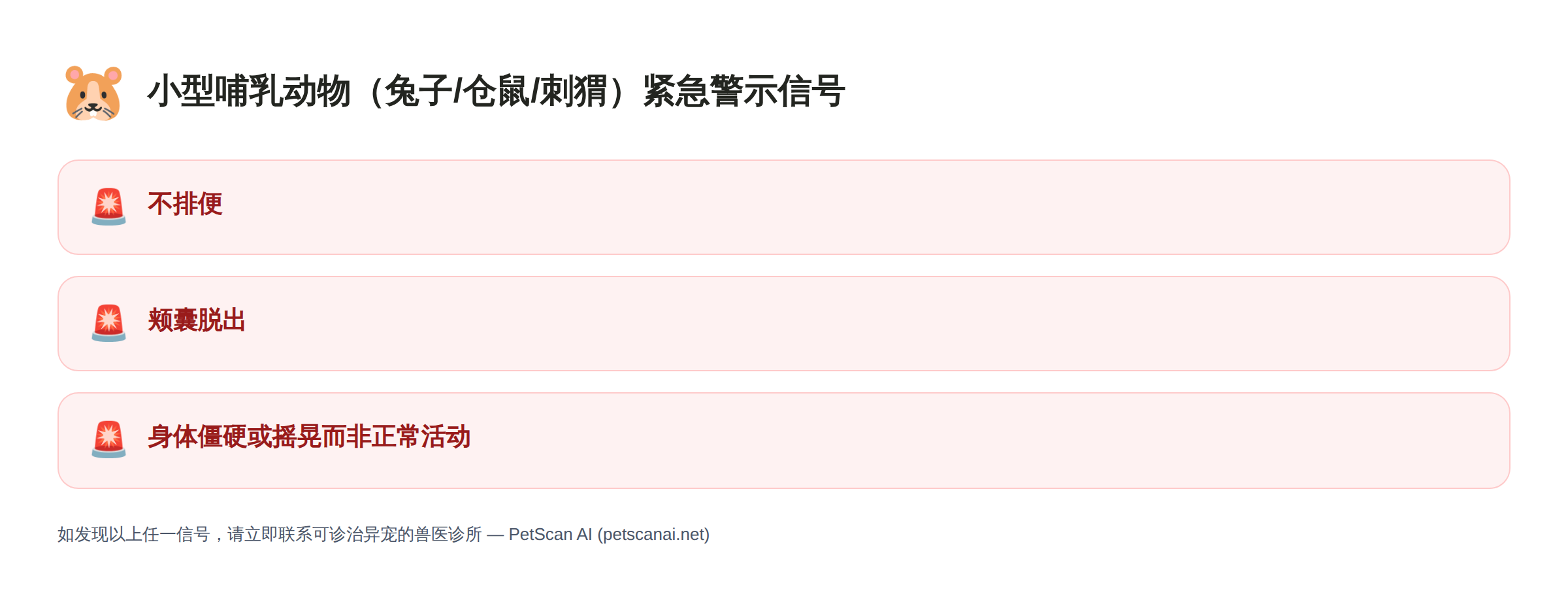 小型哺乳动物(兔子/仓鼠/刺猬)紧急警示信号清单:不排便、颊囊脱出、身体僵硬或摇晃而非正常活动 — PetScan AI