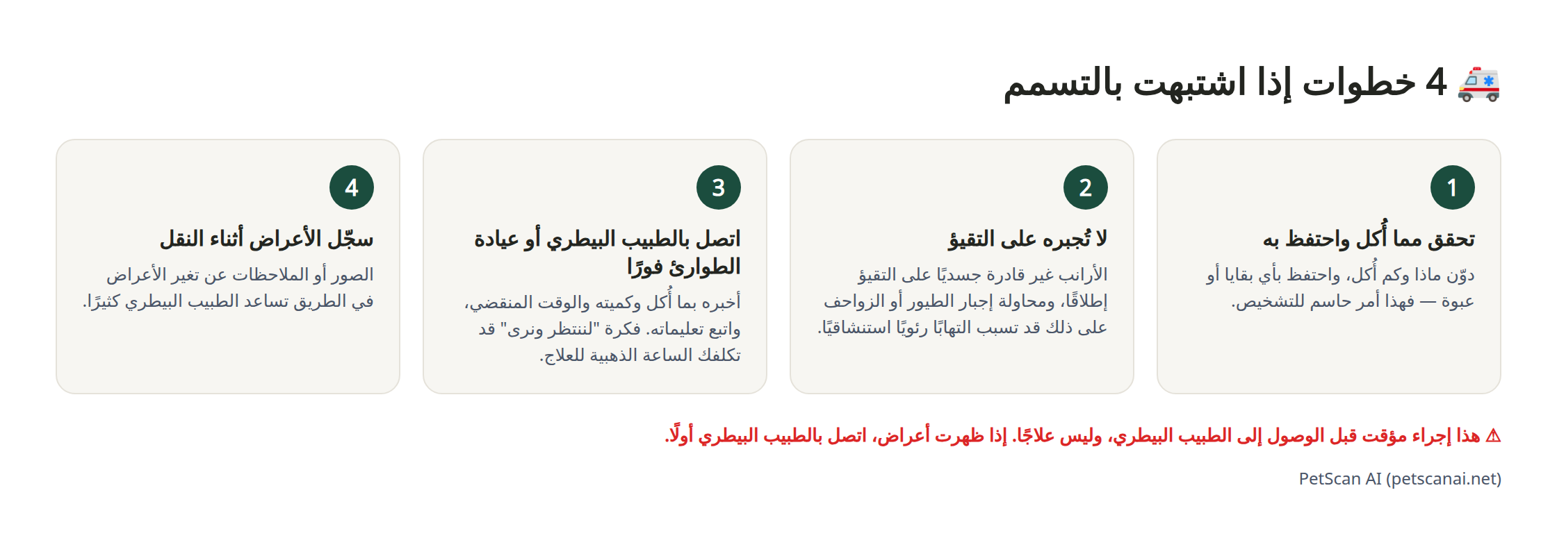 إنفوجرافيك: 4 خطوات للرعاية الطارئة عند الاشتباه بالتسمم — 1. تحقق مما أُكل واحتفظ به 2. لا تُجبره على التقيؤ 3. اتصل بالطبيب البيطري (الطوارئ) فورًا 4. سجّل حالته أثناء النقل