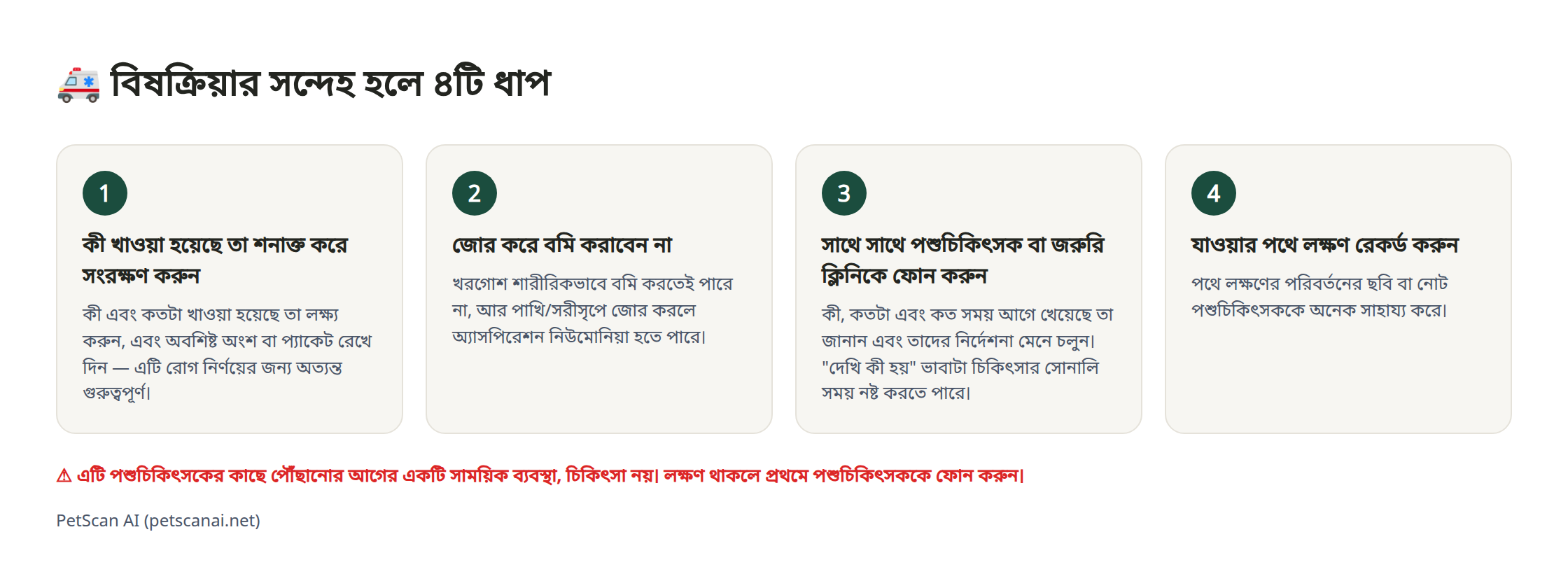 ইনফোগ্রাফিক: বিষক্রিয়ার সন্দেহ হলে জরুরি চিকিৎসার ৪টি ধাপ — ১. কী খেয়েছে তা শনাক্ত করে সংরক্ষণ করুন ২. জোর করে বমি করাবেন না ৩. সাথে সাথে পশুচিকিৎসক (জরুরি ক্লিনিক)-এর সাথে যোগাযোগ করুন ৪. যাওয়ার পথে অবস্থার তথ্য রাখুন