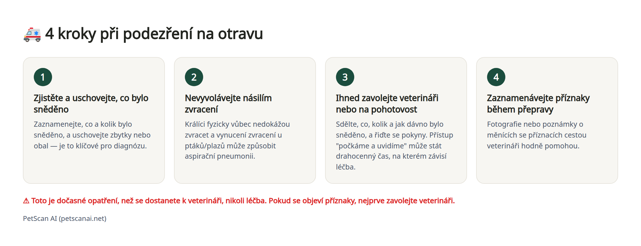 Infografika: 4 nouzové kroky při podezření na otravu — 1. Zjistěte a uschovejte, co bylo sněděno 2. Nevyvolávejte násilím zvracení 3. Ihned zavolejte veterináři (pohotovosti) 4. Zaznamenávejte stav během přepravy
