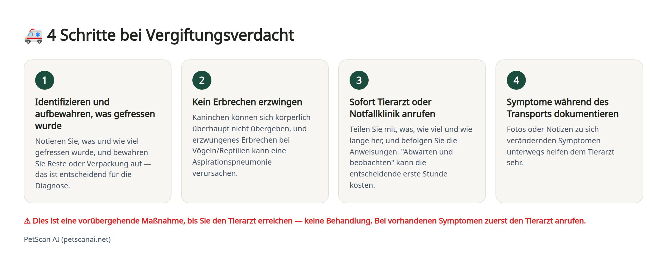 Infografik: 4 Notfallschritte bei Vergiftungsverdacht — 1. Identifizieren und aufbewahren, was gefressen wurde 2. Kein Erbrechen erzwingen 3. Sofort den Tierarzt (Notfallklinik) anrufen 4. Zustand während des Transports dokumentieren