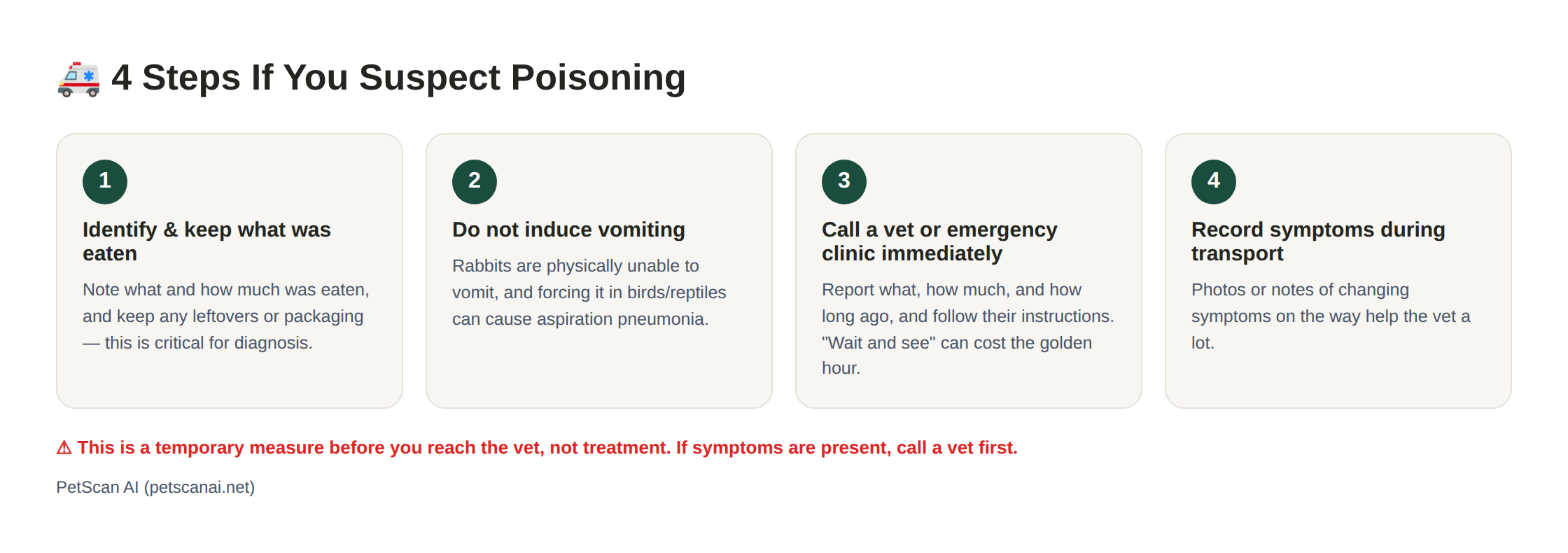 Infographic: 4 emergency steps for suspected poisoning — 1. Identify and save what was eaten 2. Don't force vomiting 3. Call the vet (emergency clinic) immediately 4. Record their condition during transport