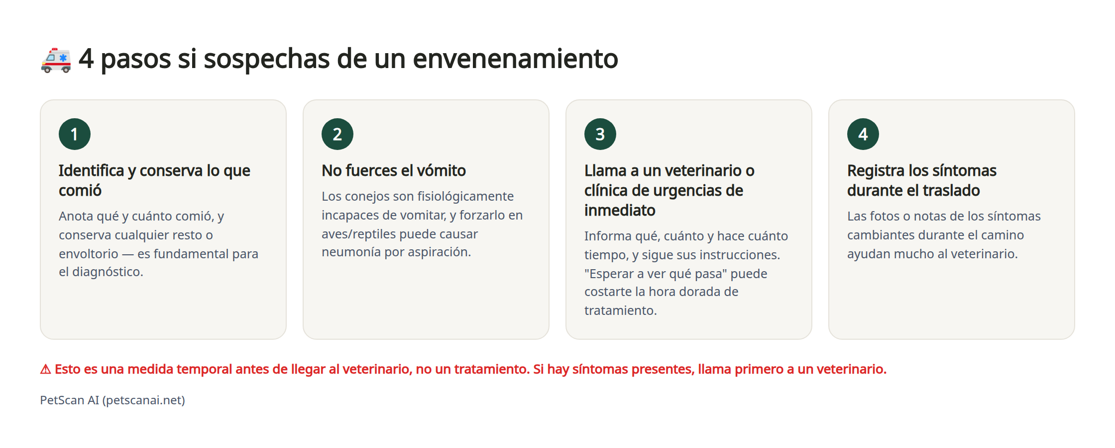 Infografía: 4 pasos de emergencia ante sospecha de envenenamiento — 1. Identifica y conserva lo que comió 2. No fuerces el vómito 3. Llama al veterinario (clínica de urgencias) de inmediato 4. Registra su estado durante el traslado