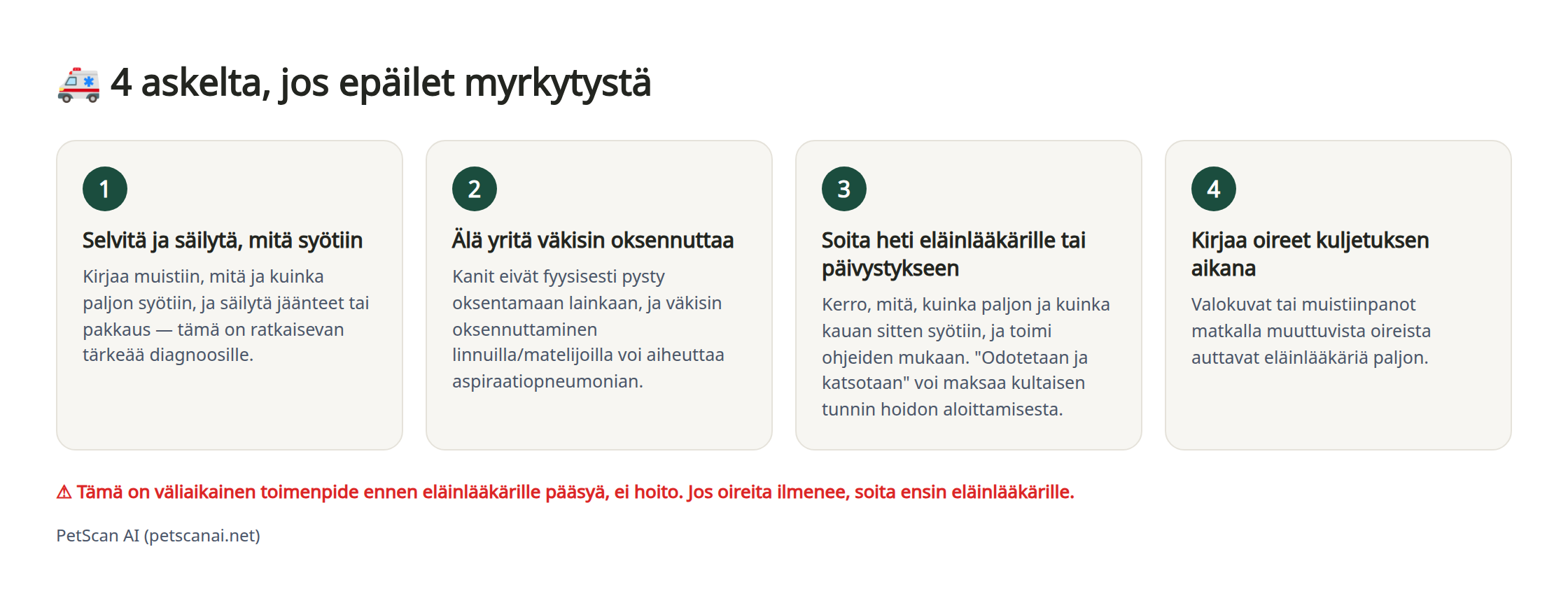 Infografiikka: 4 hätätoimenpidettä myrkytysepäilyssä — 1. Selvitä ja säilytä, mitä syötiin 2. Älä yritä väkisin oksennuttaa 3. Soita heti eläinlääkärille (päivystykseen) 4. Kirjaa tila kuljetuksen aikana