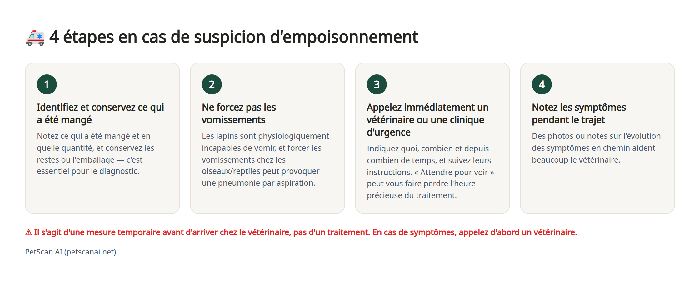 Infographie : 4 étapes d'urgence en cas de suspicion d'empoisonnement — 1. Identifiez et conservez ce qui a été mangé 2. Ne forcez pas les vomissements 3. Appelez immédiatement le vétérinaire (clinique d'urgence) 4. Notez son état pendant le trajet
