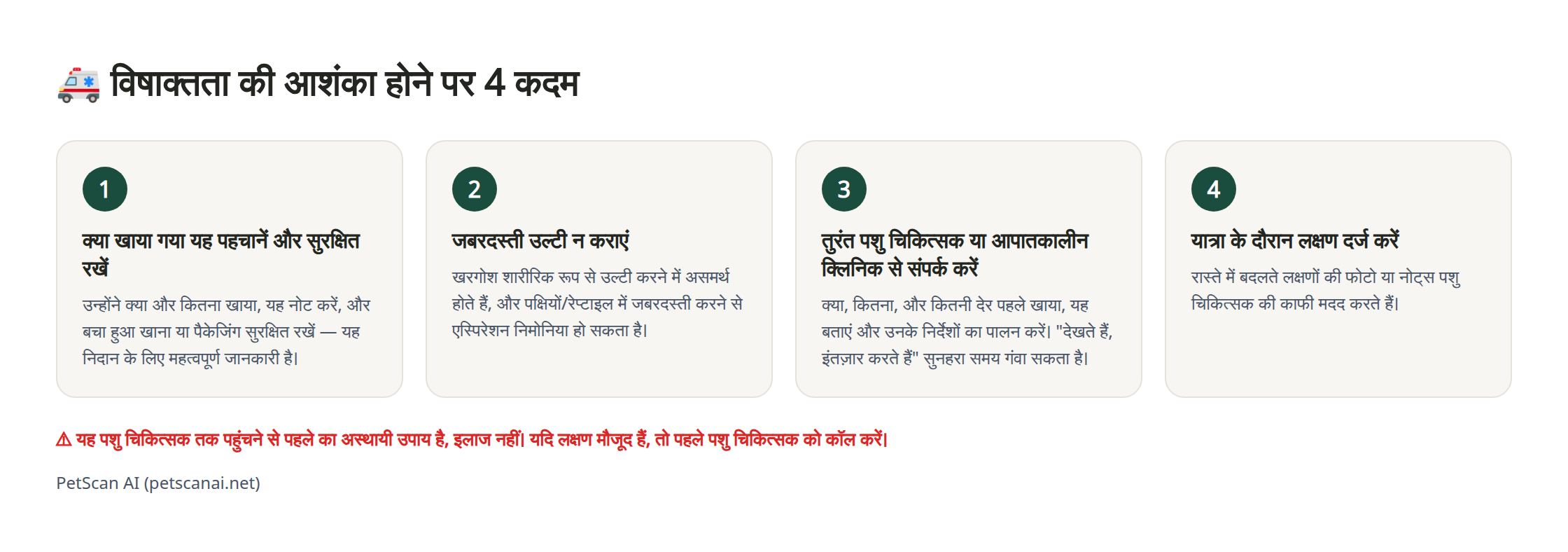 इन्फोग्राफिक: विषाक्तता की आशंका होने पर आपातकालीन देखभाल के 4 चरण — 1. क्या खाया गया यह पहचानें और सुरक्षित रखें 2. जबरदस्ती उल्टी न कराएं 3. तुरंत पशु चिकित्सक (आपातकालीन क्लिनिक) से संपर्क करें 4. यात्रा के दौरान उनकी स्थिति रिकॉर्ड करें