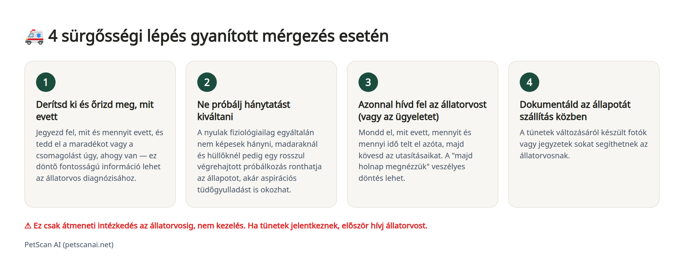 Infografika: 4 sürgősségi lépés gyanús mérgezés esetén — 1. Derítsd ki és őrizd meg, mit evett 2. Ne próbálj hánytatást kiváltani 3. Azonnal hívd fel az állatorvost (vagy az ügyeletet) 4. Dokumentáld az állapotát szállítás közben