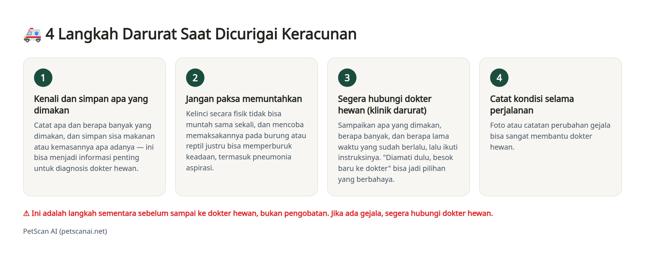 Infografis: 4 langkah darurat saat dicurigai keracunan — 1. Kenali dan simpan apa yang dimakan 2. Jangan paksa memuntahkan 3. Segera hubungi dokter hewan (klinik darurat) 4. Catat kondisi selama perjalanan