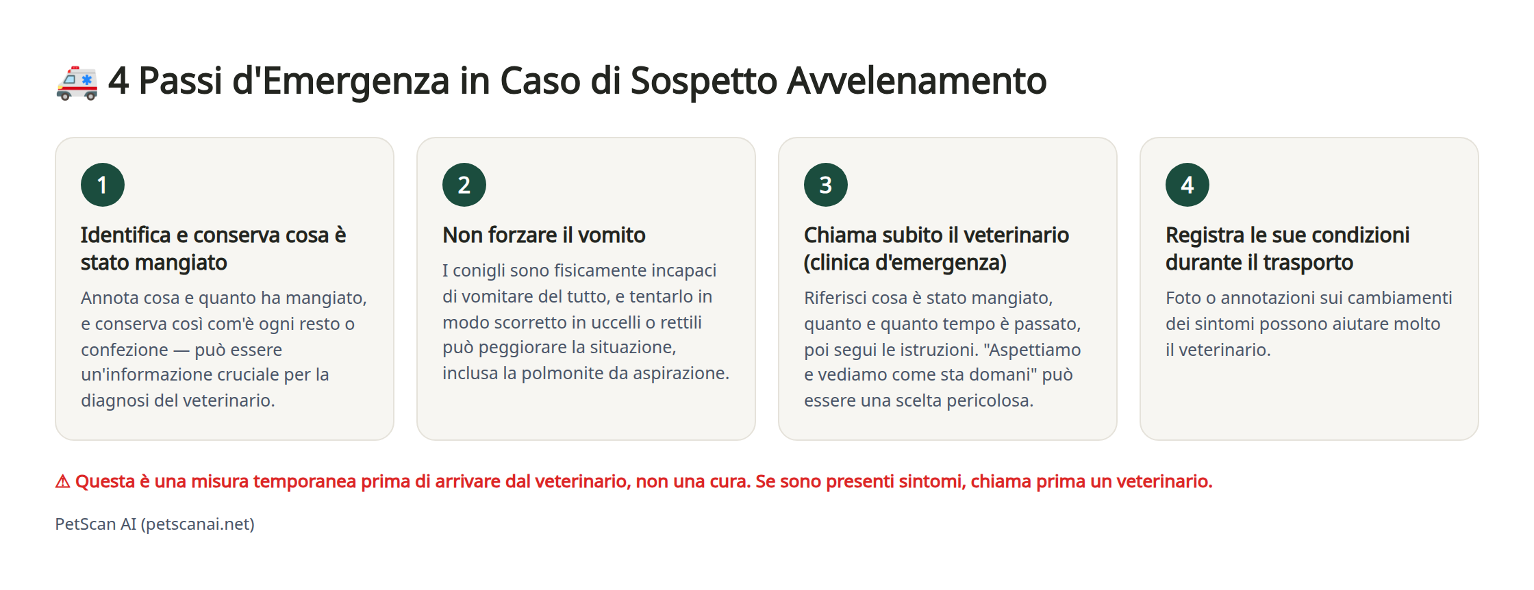 Infografica: 4 passi d'emergenza in caso di sospetto avvelenamento — 1. Identifica e conserva cosa è stato mangiato 2. Non forzare il vomito 3. Chiama subito il veterinario (clinica d'emergenza) 4. Registra le sue condizioni durante il trasporto