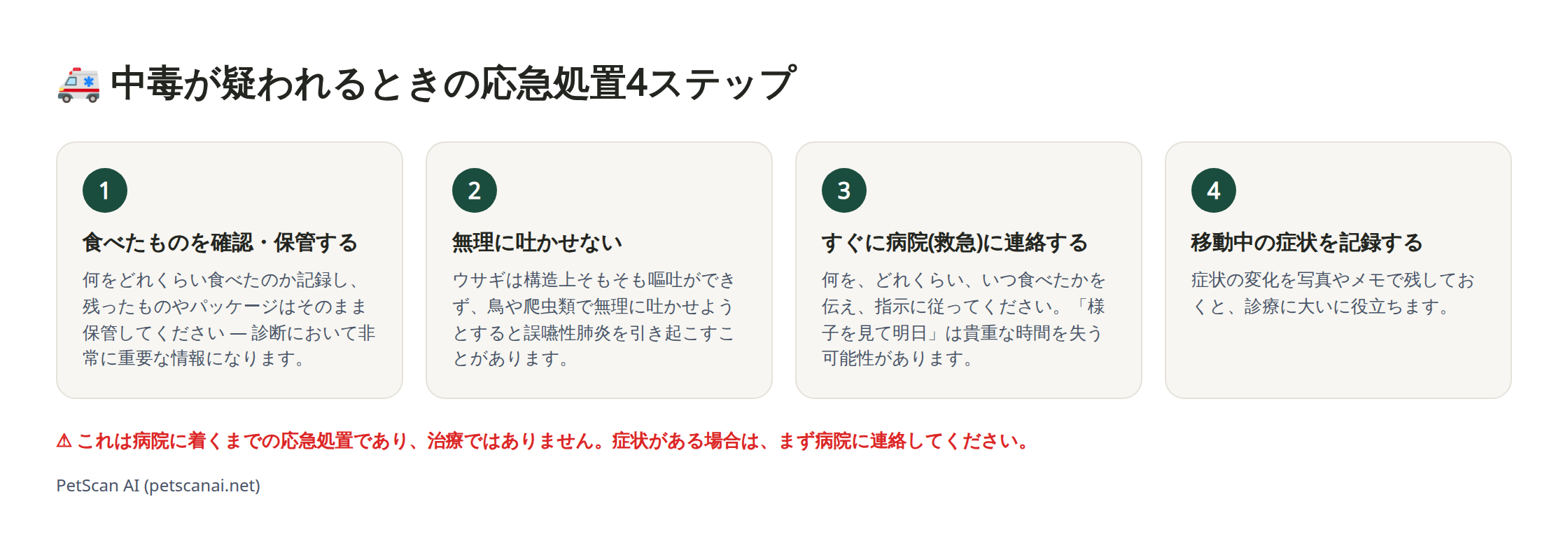 中毒物質の誤食が疑われるときの応急処置4ステップのインフォグラフィック: 1. 食べたものを確認・保管する 2. 無理に吐かせない 3. 病院(救急)にすぐ連絡する 4. 移動中の状態を記録する