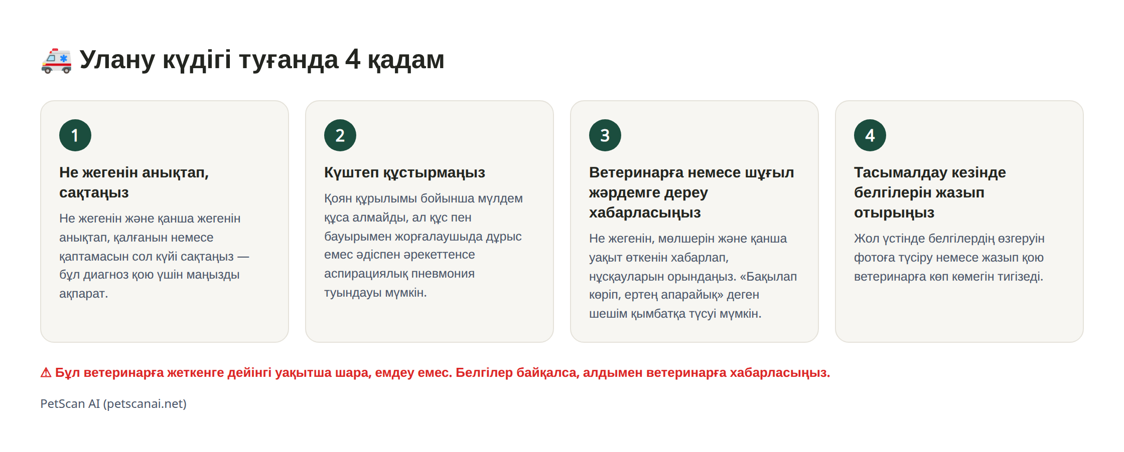 Инфографика: улану күдігі туғандағы 4 қадамдық шұғыл көмек — 1. Не жегенін анықтап, сақтаңыз 2. Күштеп құстырмаңыз 3. Ветеринарға (шұғыл жәрдемге) дереу хабарласыңыз 4. Тасымалдау кезінде жағдайын жазып отырыңыз