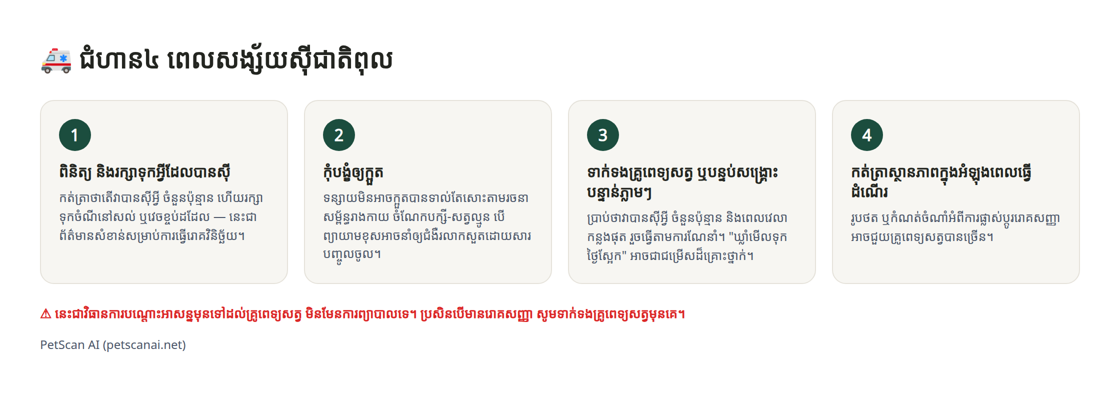 ក្រាហ្វិកព័ត៌មាន៖ វិធីព្យាបាលបន្ទាន់ ៤ជំហាន ពេលសង្ស័យស៊ីជាតិពុល — ១. ពិនិត្យ-ទុកសល់ចំណីដែលបានស៊ី ២. កុំបង្ខំឲ្យក្អួត ៣. ទាក់ទងគ្រូពេទ្យសត្វ (បន្ទាន់) ភ្លាមៗ ៤. កត់ត្រាស្ថានភាពពេលធ្វើដំណើរ