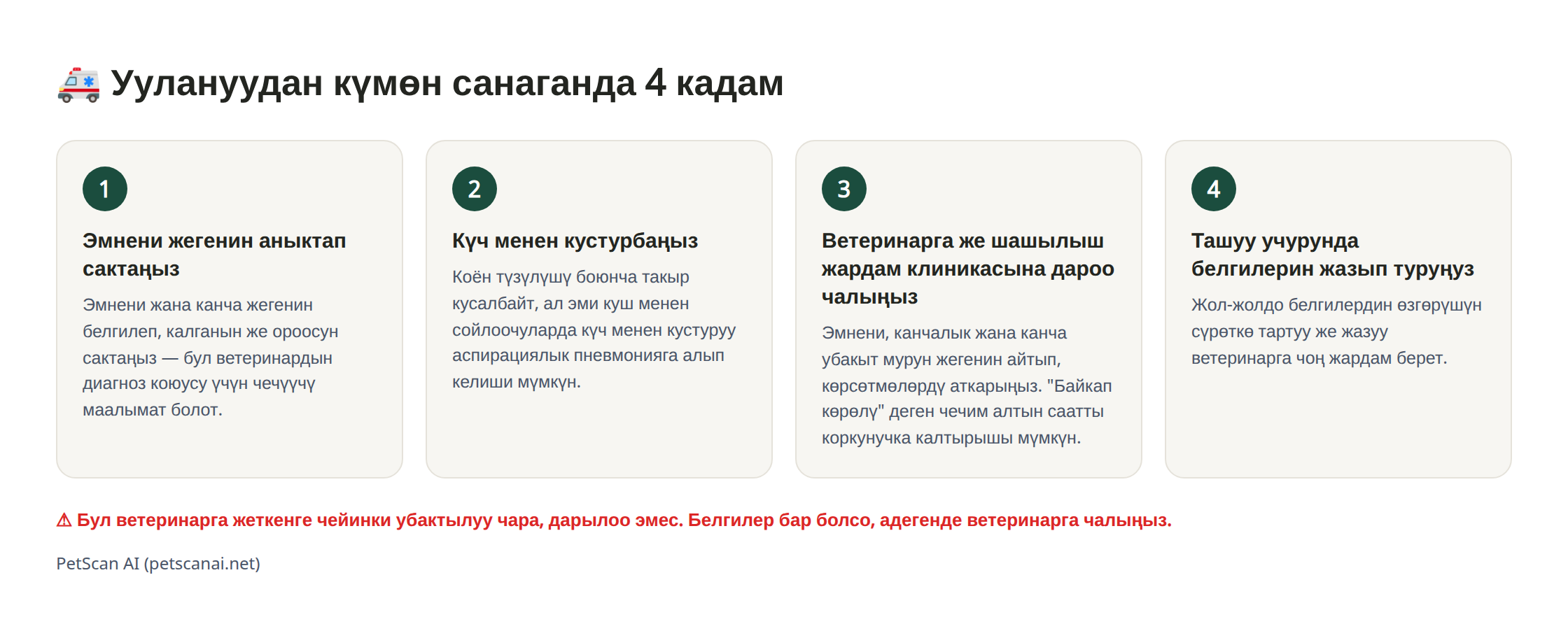Инфографика: уулануудан күмөн санаганда 4 кадамдык шашылыш жардам — 1. Эмнени жегенин аныктап сактаңыз 2. Күч менен кустурбаңыз 3. Ветеринарга (шашылыш жардамга) дароо байланышыңыз 4. Жол-жолдо абалын жазып туруңуз