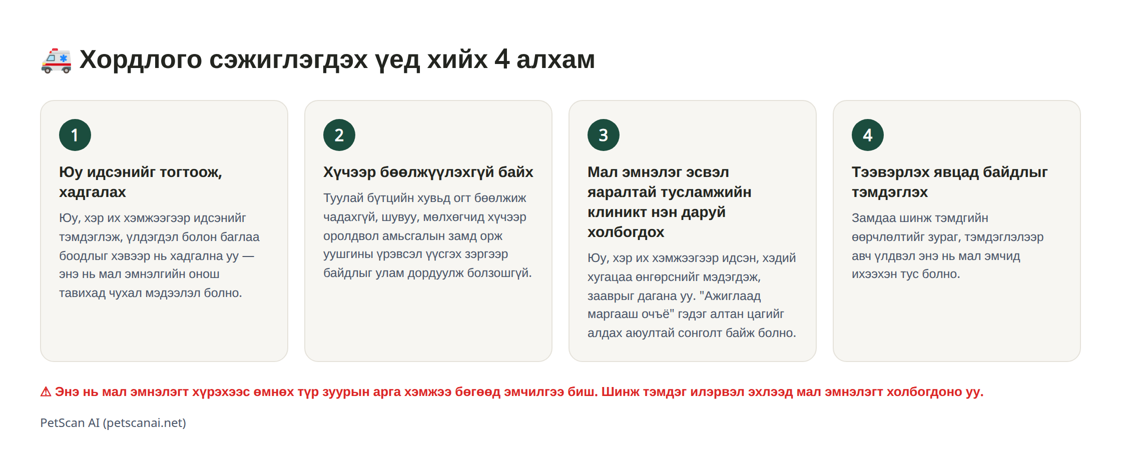 Инфографик: хордлого сэжиглэгдэх үед хийх яаралтай тусламжийн 4 алхам — 1. Юу идсэнийг тогтоож, хадгалах 2. Хүчээр бөөлжүүлэхгүй байх 3. Мал эмнэлэг (яаралтай тусламж)-т нэн даруй холбогдох 4. Тээвэрлэх явцад байдлыг тэмдэглэх
