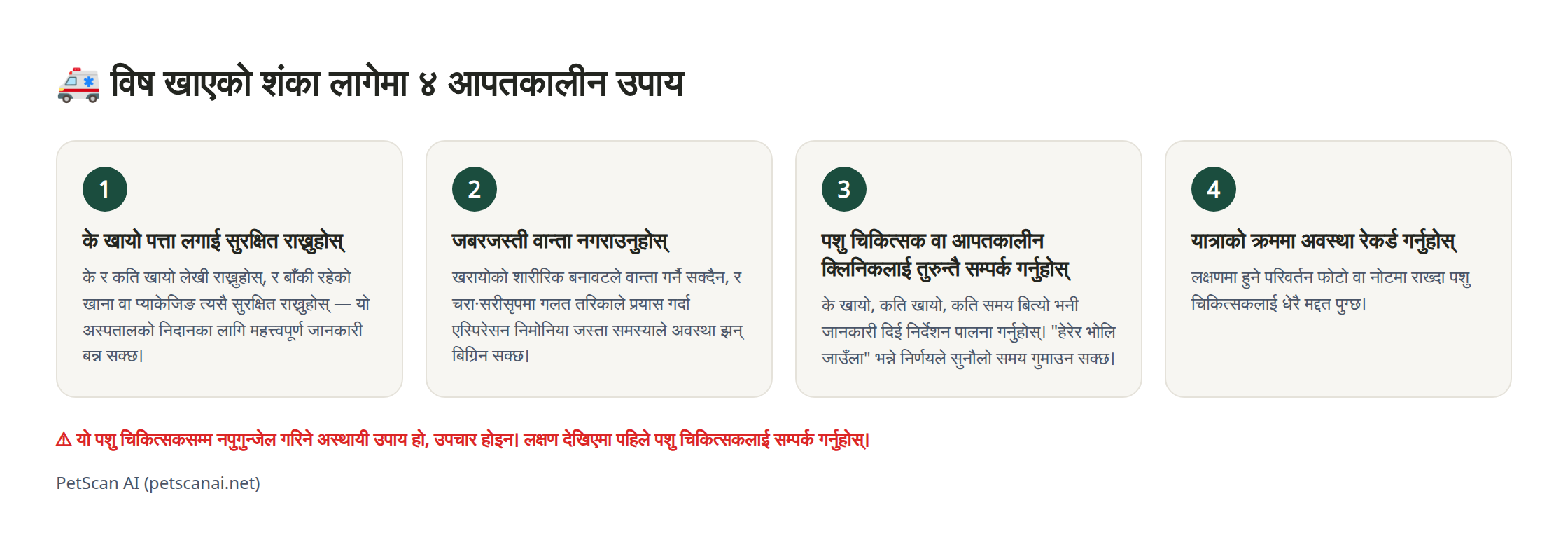 विष खाएको शंका लागेमा ४ आपतकालीन उपायको इन्फोग्राफिक: १. के खायो पत्ता लगाई सुरक्षित राख्नुहोस् २. जबरजस्ती वान्ता नगराउनुहोस् ३. अस्पताल (आपतकालीन) लाई तुरुन्तै सम्पर्क गर्नुहोस् ४. यात्राको क्रममा अवस्था रेकर्ड गर्नुहोस्