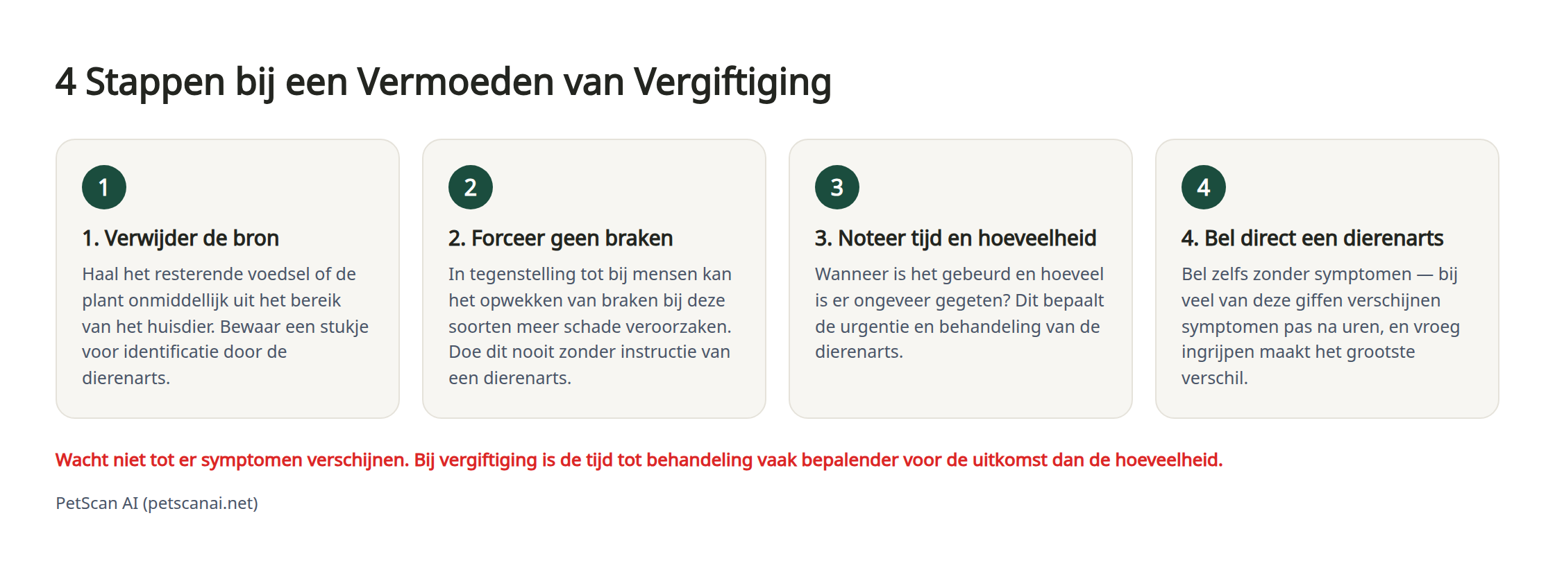 Infografiek: 4 spoedstappen bij vermoedelijke vergiftiging — 1. Identificeer en bewaar wat er is gegeten 2. Forceer geen braken 3. Bel direct de dierenarts (spoedkliniek) 4. Leg de toestand vast tijdens het transport