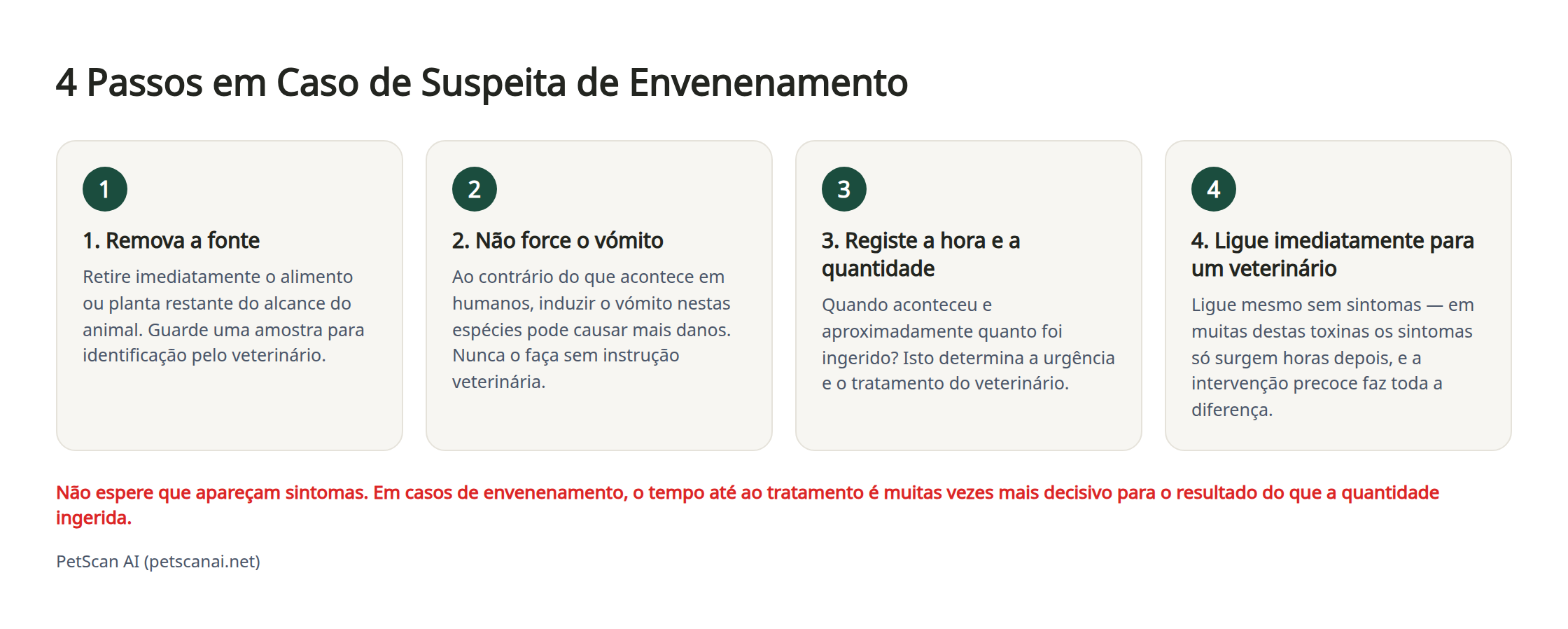 Infográfico: 4 passos de emergência em caso de suspeita de envenenamento — 1. Identifique e guarde o que foi ingerido 2. Não force o vómito 3. Contacte o veterinário (urgência) de imediato 4. Registe o estado do animal durante o transporte