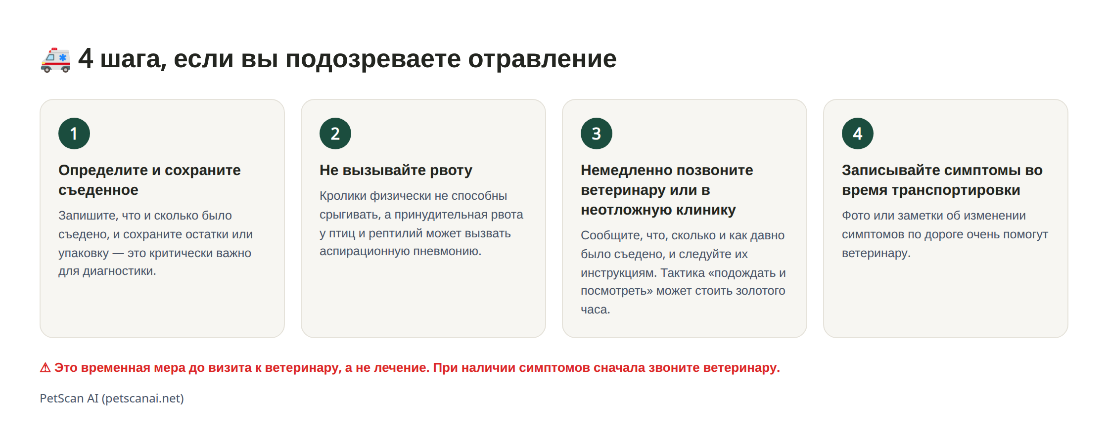 Инфографика: 4 шага экстренной помощи при подозрении на отравление — 1. Определите и сохраните съеденное 2. Не вызывайте рвоту насильно 3. Немедленно свяжитесь с клиникой (скорой) 4. Записывайте состояние в пути