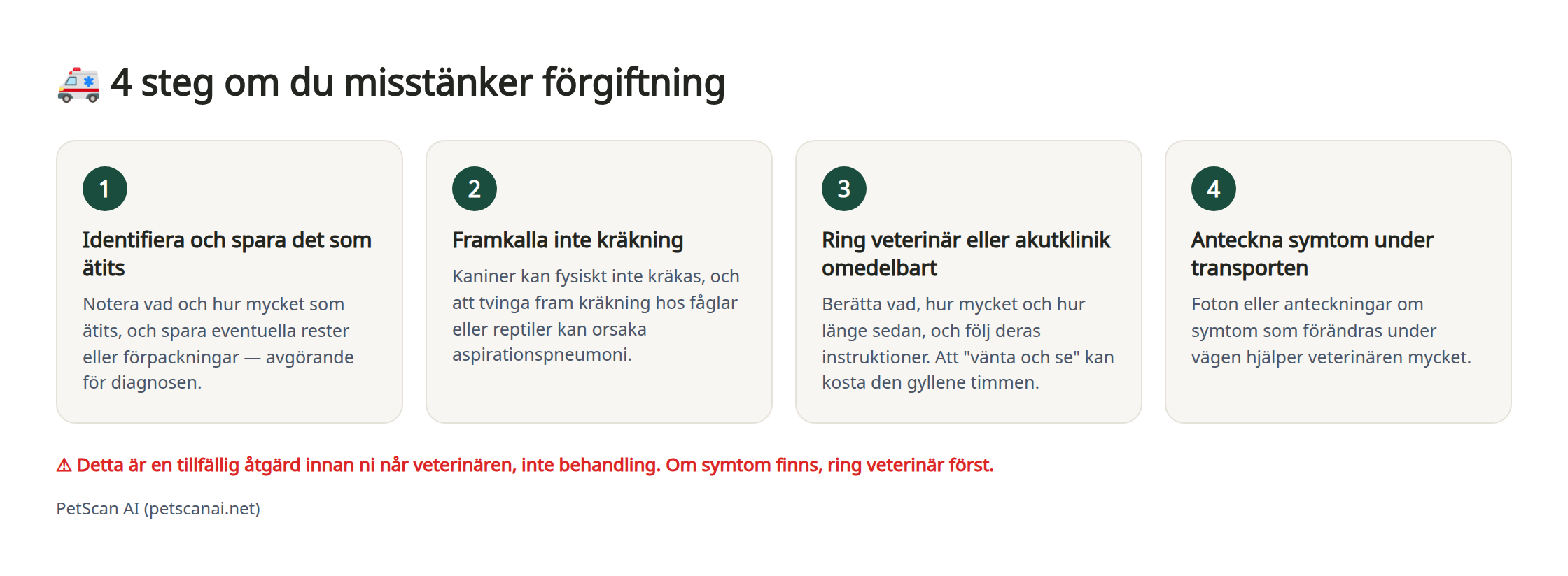 Infografik: 4 akutåtgärder vid misstänkt förgiftning — 1. Ta reda på och spara det som ätits 2. Försök inte framkalla kräkning 3. Ring veterinär (eller jouren) omedelbart 4. Dokumentera tillståndet under transporten