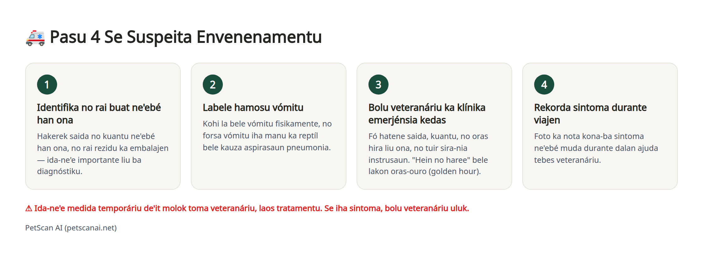 Infográfiku: pasu emerjénsia 4 ba suspeita envenenamentu — 1. Identifika no rai buat ne'ebé nia han 2. Labele forsa halo nia mutar 3. Kontaktu veteriná (klínika emerjénsia) kedas 4. Hakerek kondisaun nia durante viajen