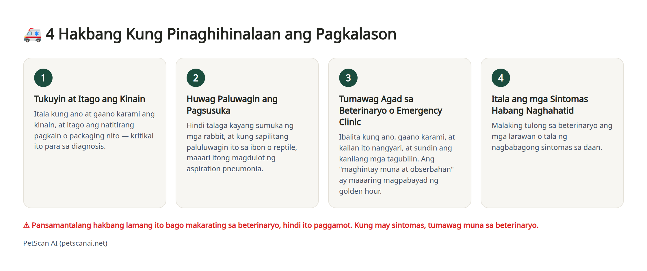 Infographic: 4 na hakbang sa emergency kapag pinaghihinalaang may nalasong kinain — 1. Tukuyin at itago ang kinain 2. Huwag pilitin pasukahin 3. Tumawag agad sa beterinaryo (emergency clinic) 4. Itala ang kondisyon habang naglalakbay