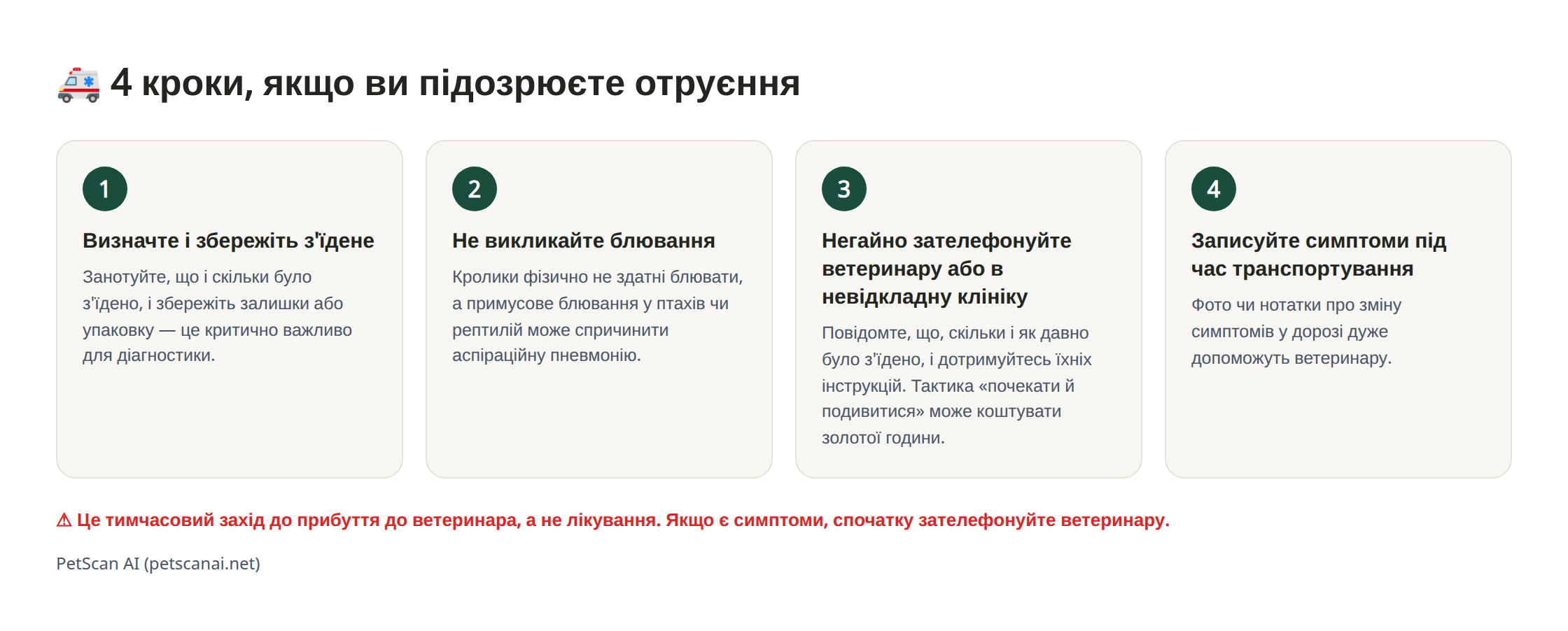 Інфографіка: 4 кроки екстреної допомоги при підозрі на отруєння — 1. Визначте та збережіть з'їдене 2. Не викликайте блювання силою 3. Негайно зателефонуйте ветеринару (швидка допомога) 4. Записуйте стан під час транспортування