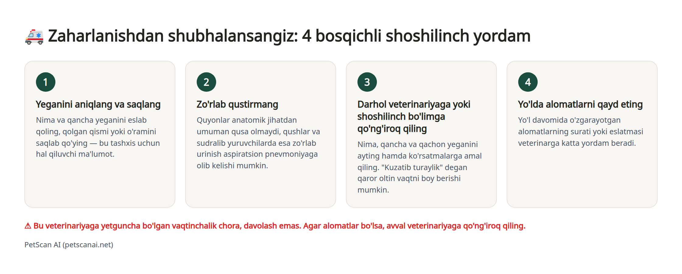 Zaharli modda yeb qo'yganidan shubha qilinganda 4 bosqichli shoshilinch yordam infografikasi: 1. Yeganini aniqlang va saqlang 2. Zo'rlab qustirmang 3. Darhol veterinariyaga (shoshilinch bo'limga) murojaat qiling 4. Yo'lda ahvolini qayd eting