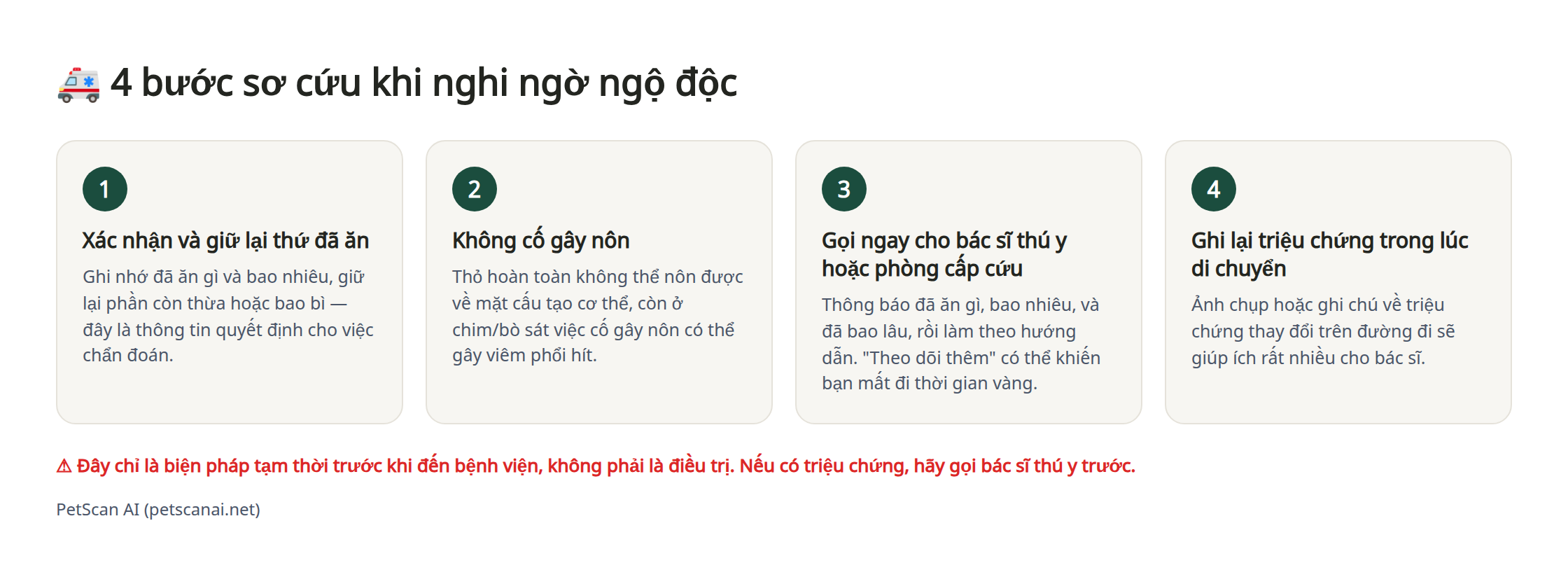 Infographic 4 bước sơ cứu khẩn cấp khi nghi ngờ ăn phải chất độc: 1. Xác nhận và giữ lại thứ đã ăn 2. Không cố gây nôn 3. Liên hệ bệnh viện (cấp cứu) ngay lập tức 4. Ghi lại tình trạng trong lúc di chuyển