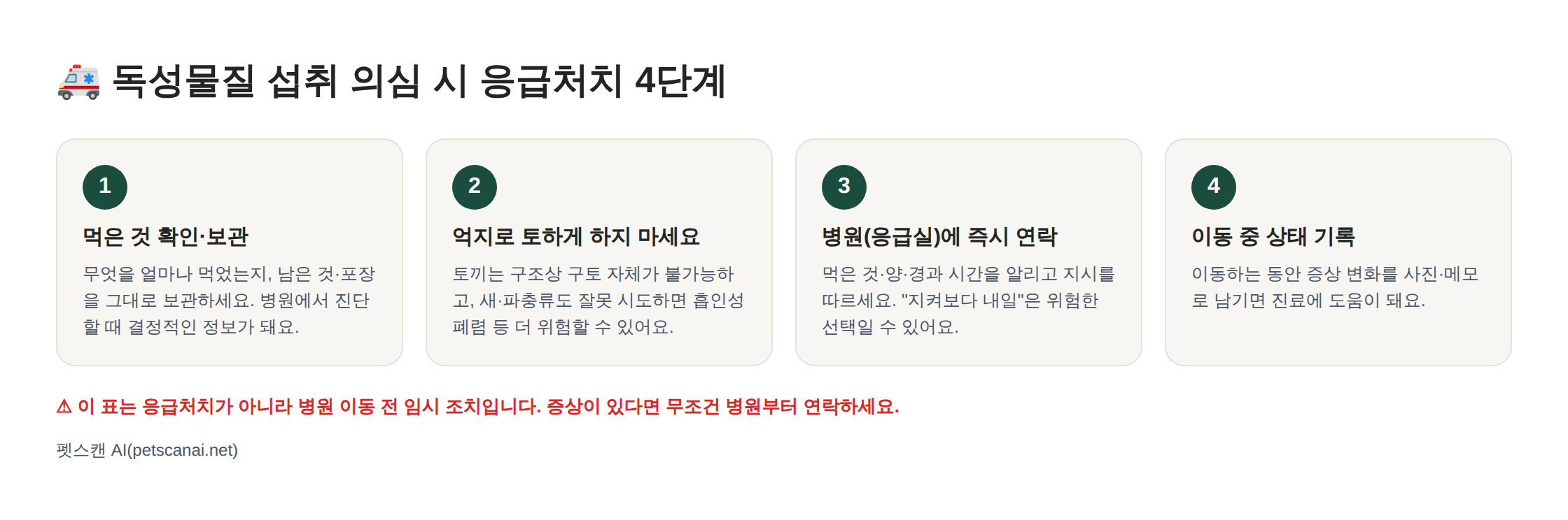 독성물질 섭취 의심 시 응급처치 4단계 인포그래픽: 1. 먹은 것 확인·보관 2. 억지로 토하게 하지 마세요 3. 병원(응급실)에 즉시 연락 4. 이동 중 상태 기록